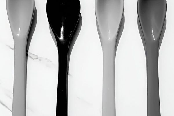 اگر قاشق قرمز را در این تصویر سیاه و سفید پیدا کنید، جزو ۵ درصد برتر جامعه با ضریب هوشی بالا هستید